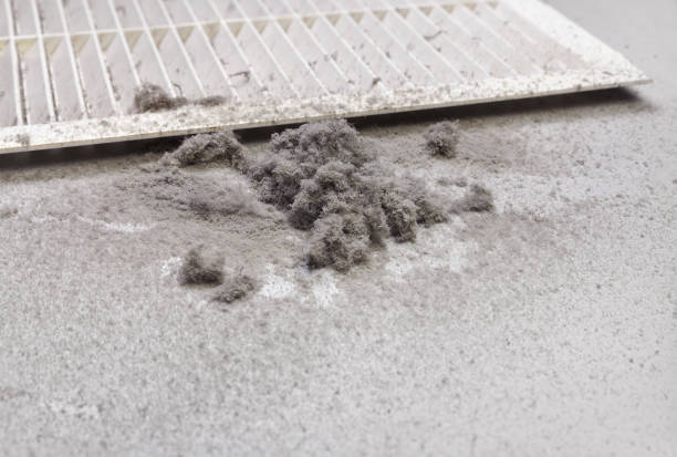 Best HVAC Duct Inspection Services  in Fort Polk North, LA