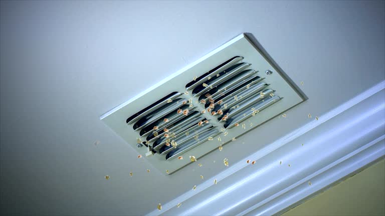 Best Affordable Duct Cleaning Services  in Fort Polk North, LA