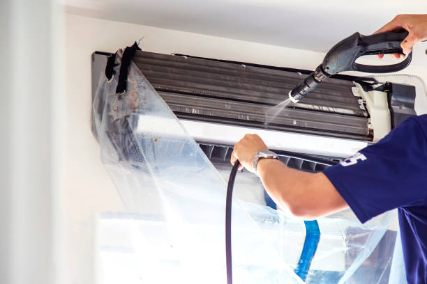 Air Duct Mold Removal in LA