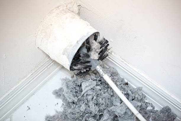 HVAC System Cleaning in LA